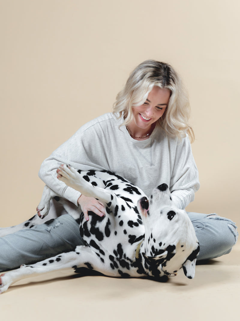 Hush Pup founder Ryan Henry playing with dalmatian in studio setting